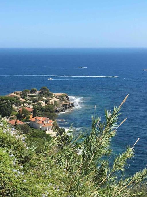 Vue Mer Incroyable Aux Portes De Monaco 卡普戴尔 外观 照片